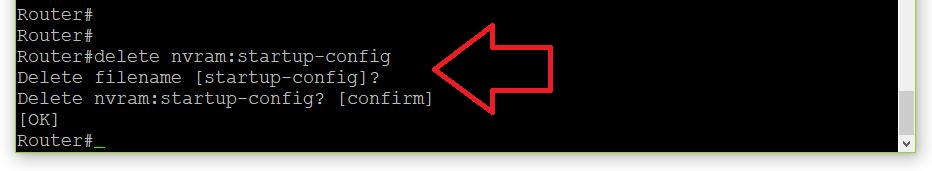 delete nvram:startup-config command