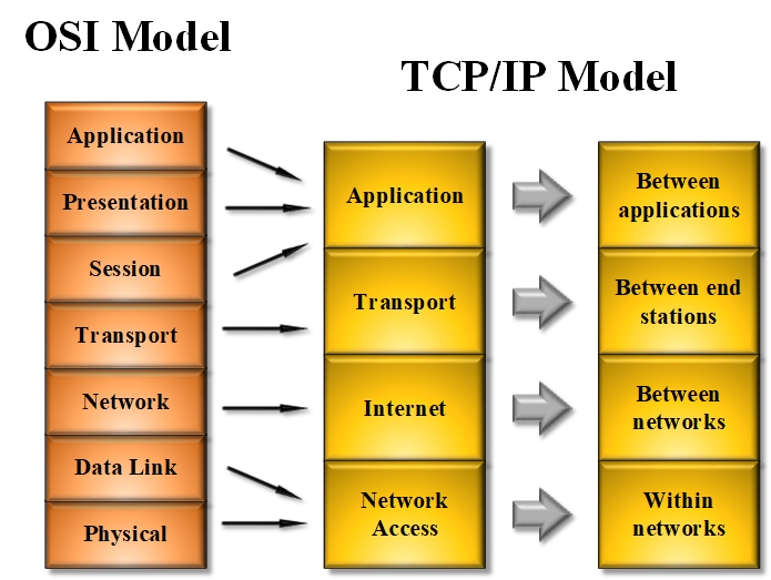 Network Models